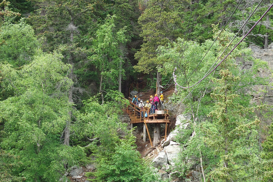 Grizzly Falls Ziplining Expedition