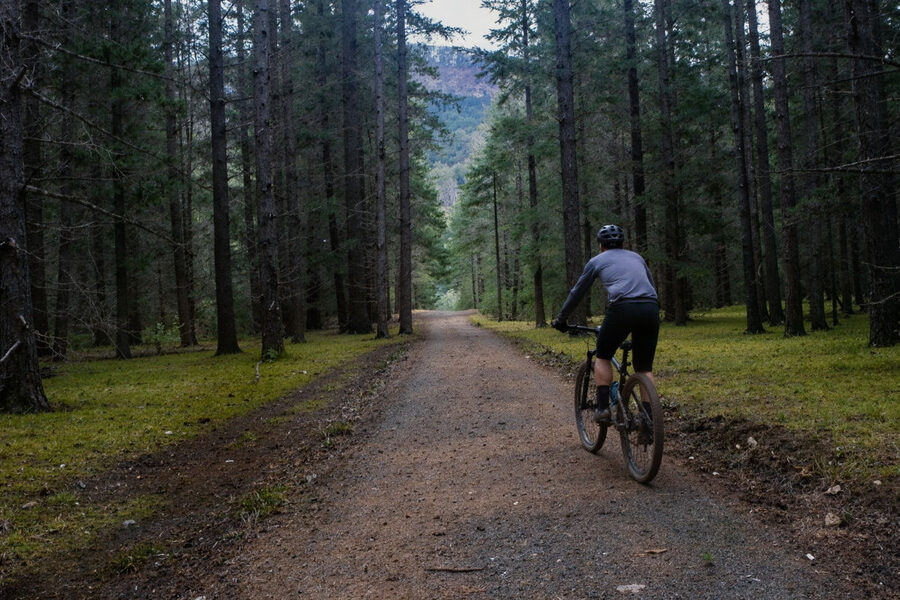 Rainforest Bicycle Tour