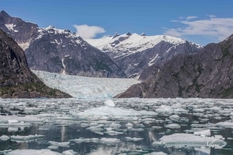 LeConte Glacier: Ice & Wildlife by Jet Boat