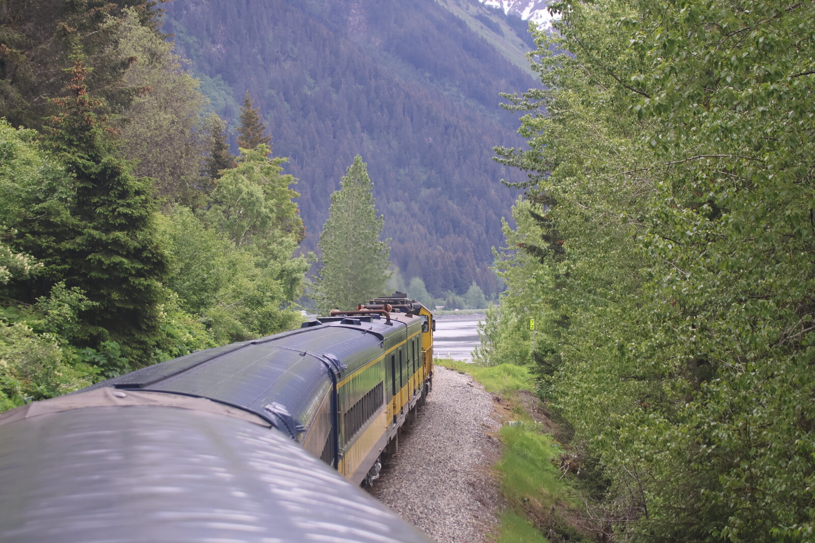 Glacier Discovery train