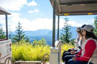 SkyPeak Gondola & Mountaintop Forest Tram