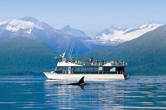 Mendenhall Glacier & Whale Quest