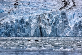 Tracy Arm Fjord & Glacier Explorer Cruise