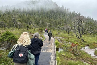 Tongass Rainforest Hike