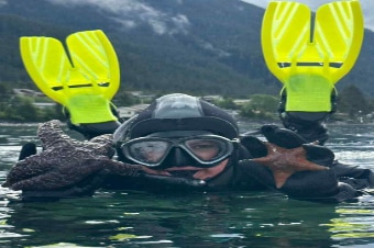 Dry Suit Snorkel Adventure