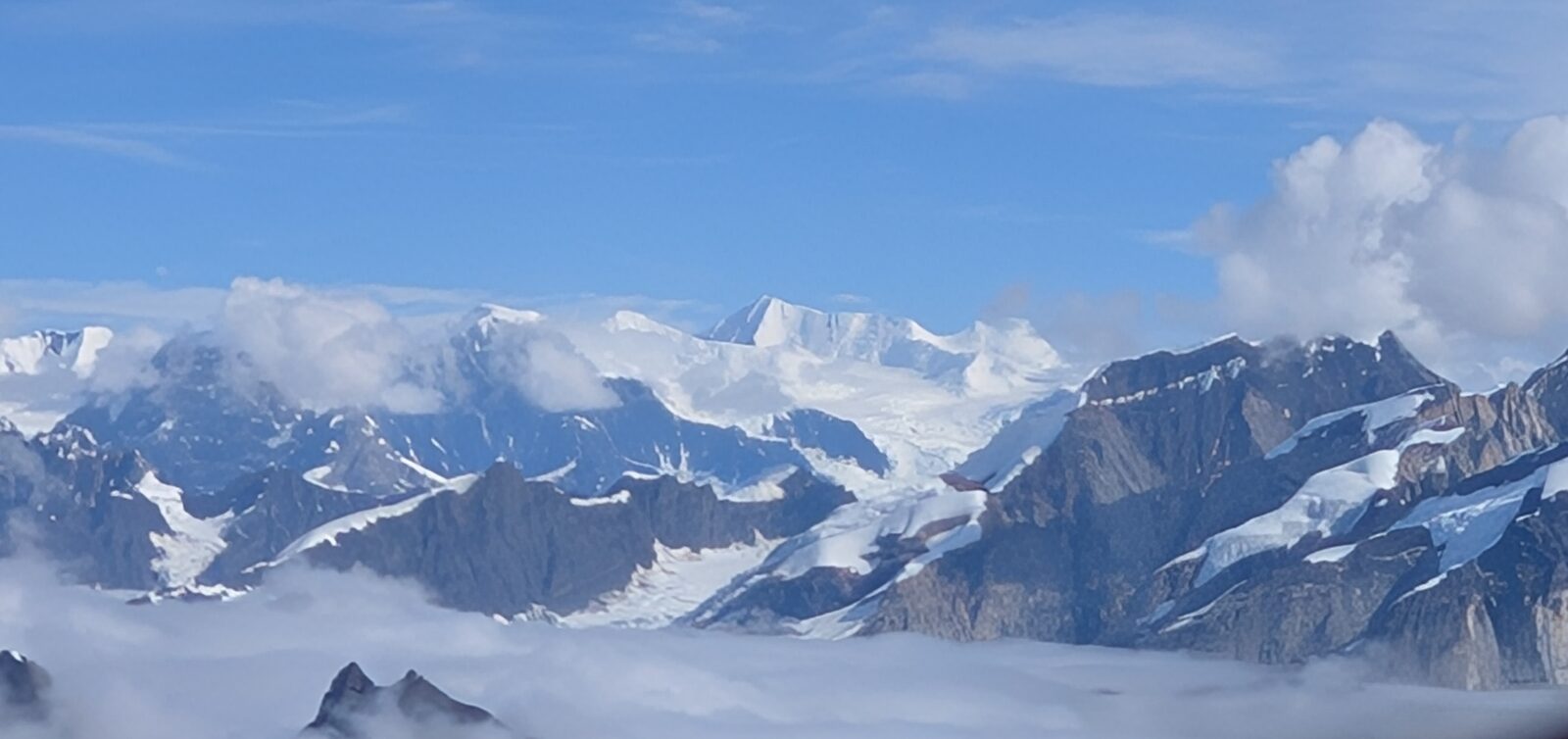 5 Days Before or After an Alaska Cruise: Adding Denali on Your Own