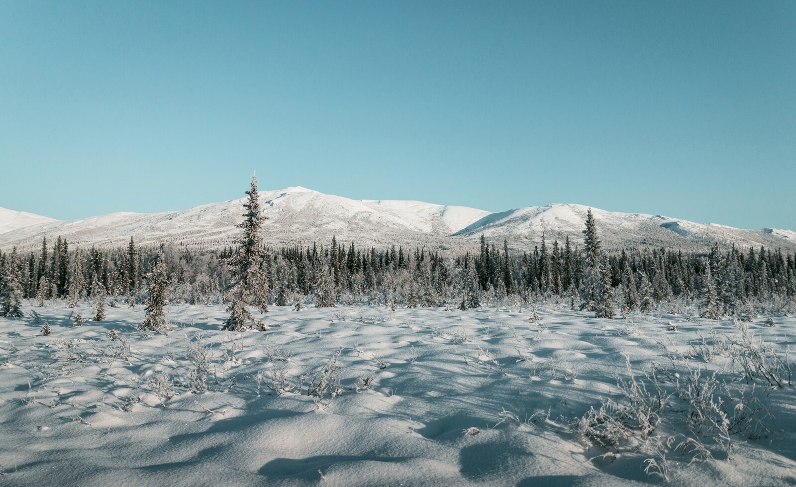 Best Time to Visit Alaska: A Season-by-Season Guide